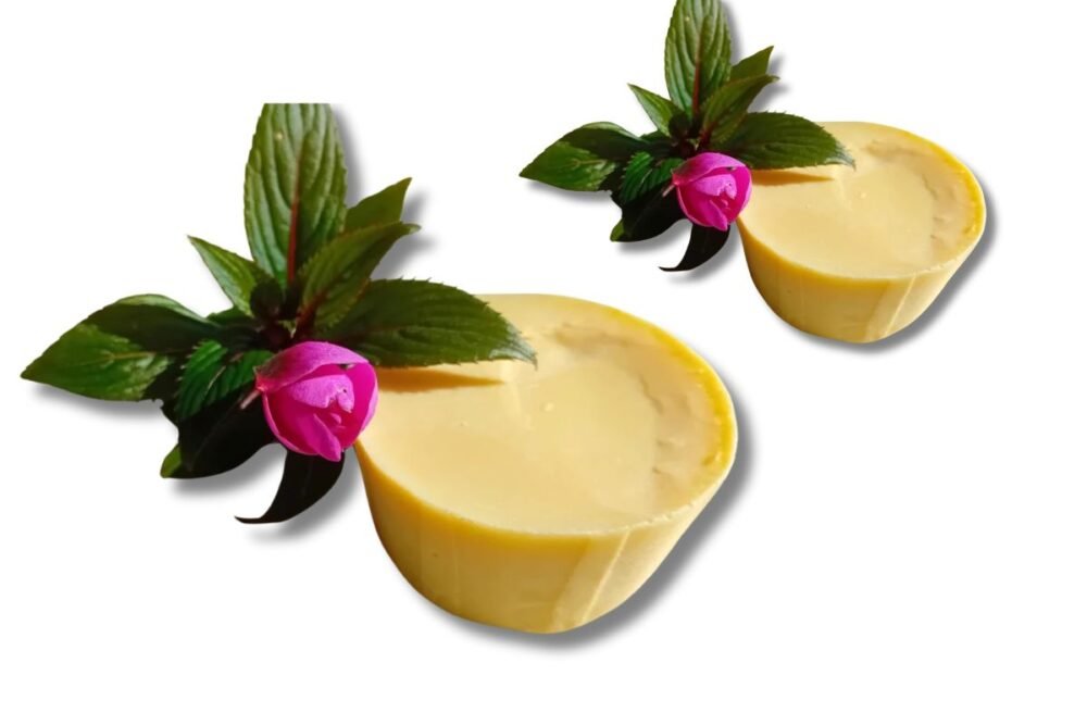 Lot de 2 Galets de crème solide bio RECHARGE